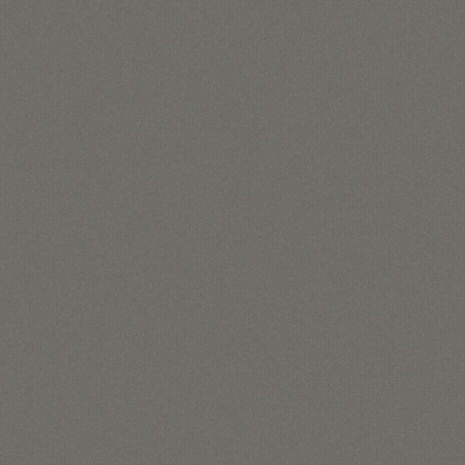 Gris Expo Grey Expo